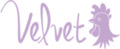 Logo The Velvet Thruster